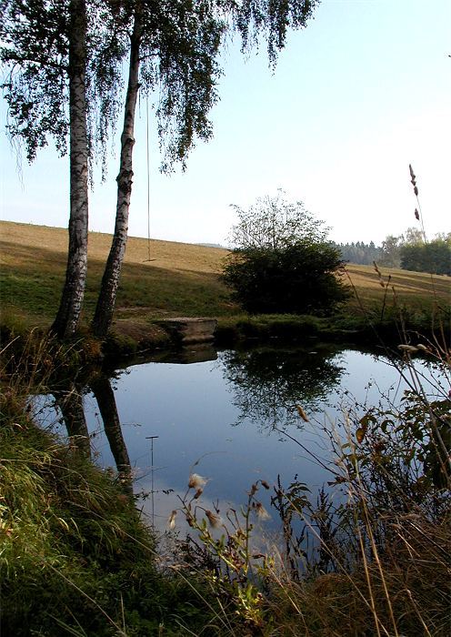 Jezírko s houpačkou