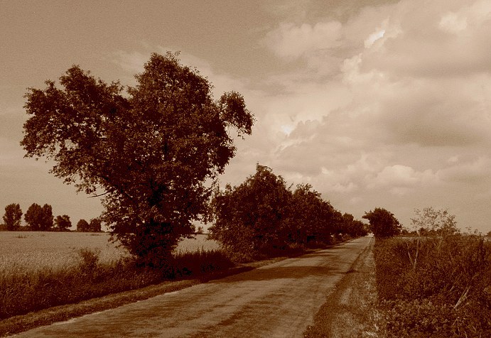 Spomienka na leto