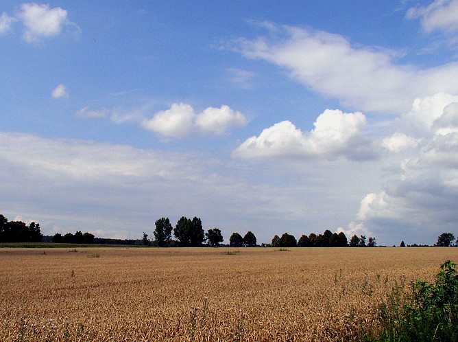 Letné línie