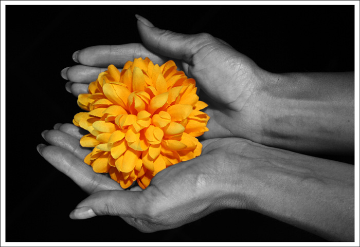 FLOWERHANDS