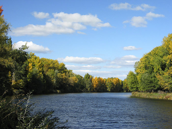 Labe-podzimní