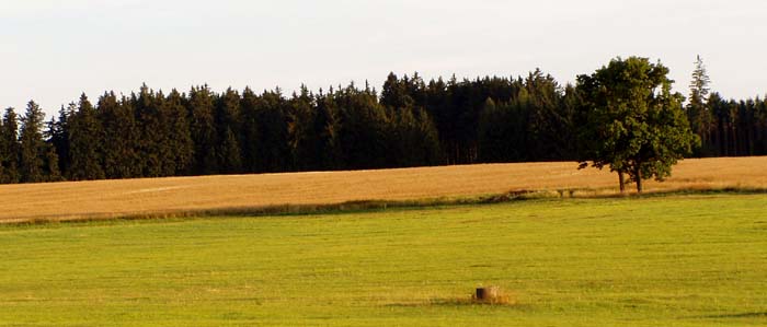 Vysočina