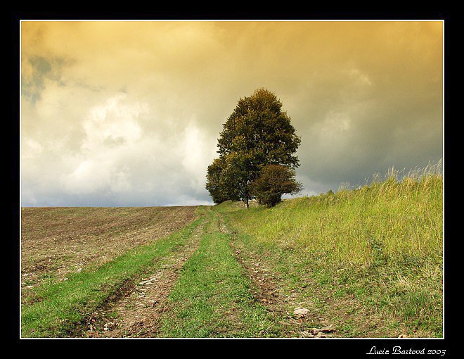 Zamračený podzim