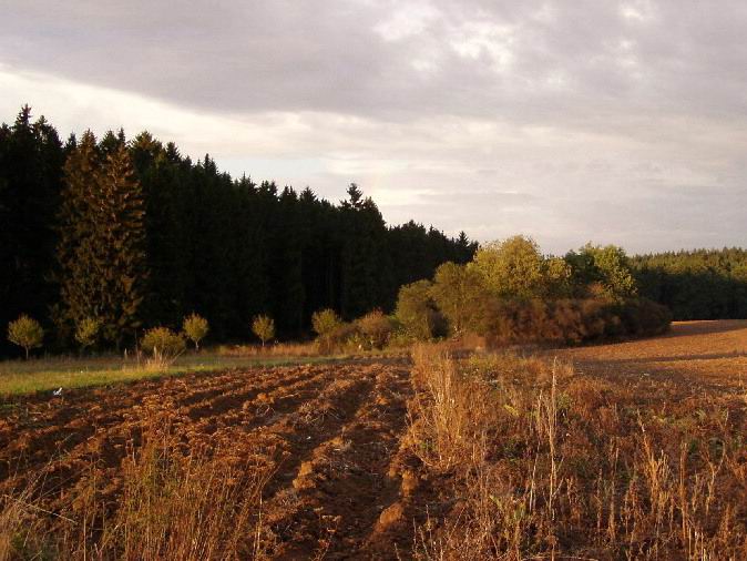Podzim na Drahanské vysočině