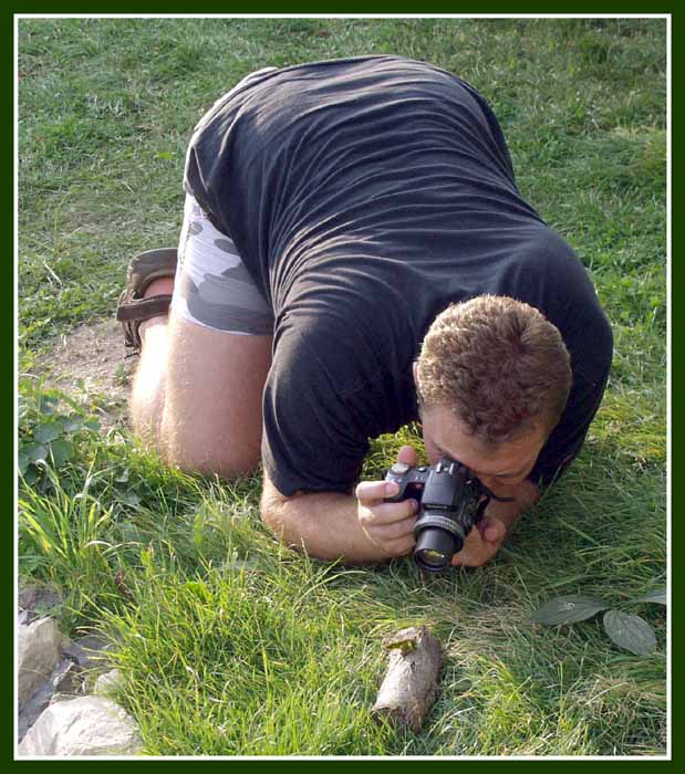 Žeby saranče pro PhotoPOST ?