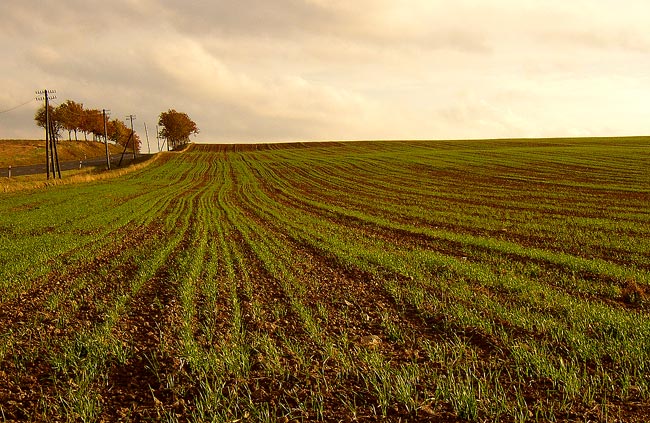 U nás - pohodovka z Chebska