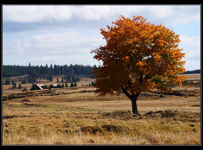 Podzim 2003 - Prebuz