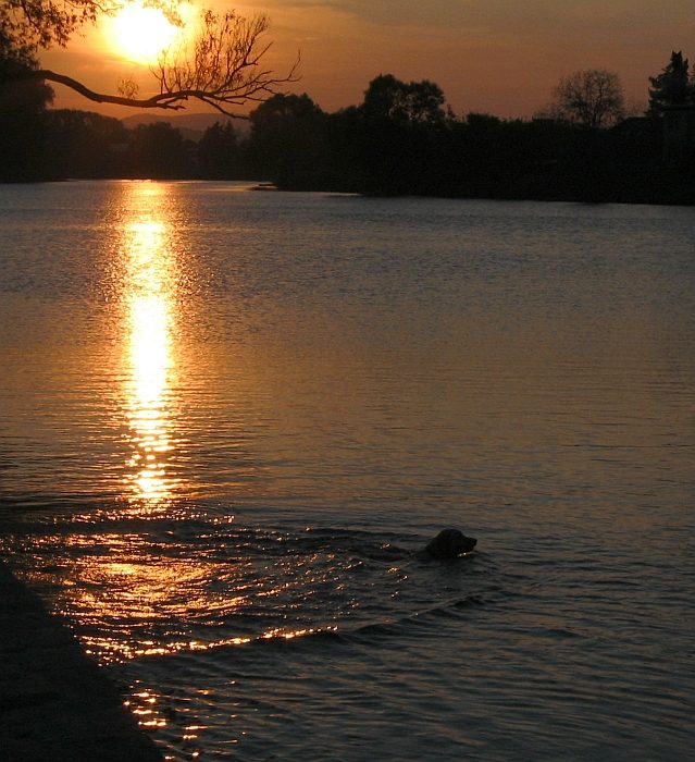 Nejlepší koupání je při západu...