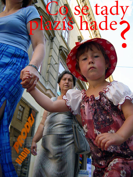 <b>Voyeurovo uštknutí</b>