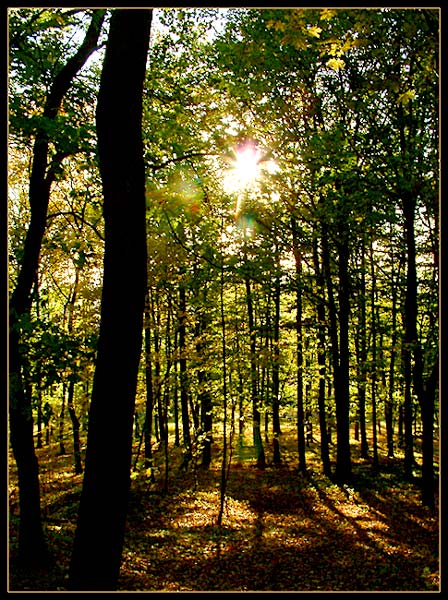 <b>PODVEČERNÍ...</b>