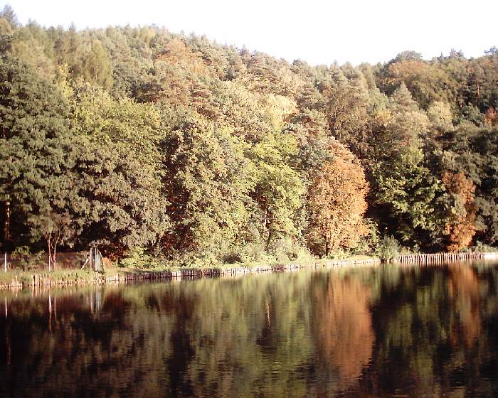 zrcadlo