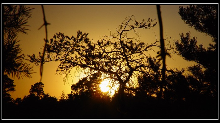 .. a potom byla tma.