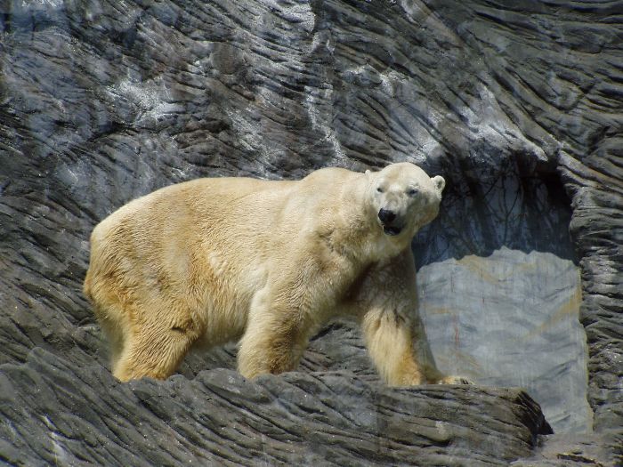 Hmmm, copak to máme dneska dobrého?