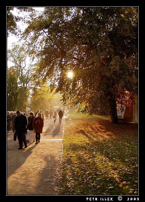 Park