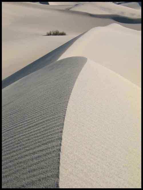 sand dunes