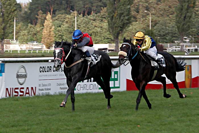 Velká Pardubická