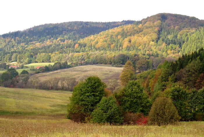 Časně ráno u Hukvaldské obory
