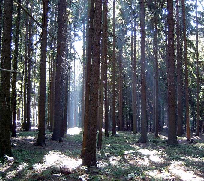 Hra světla