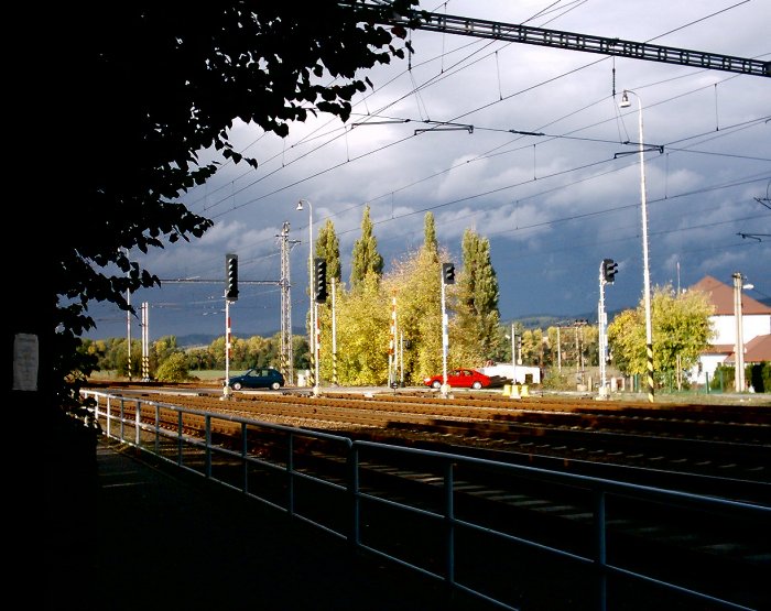 Perspektivní podzim