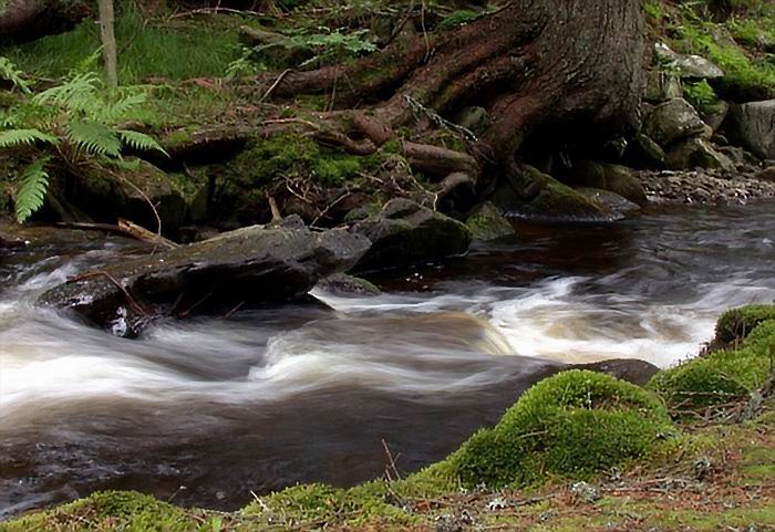 Šumava