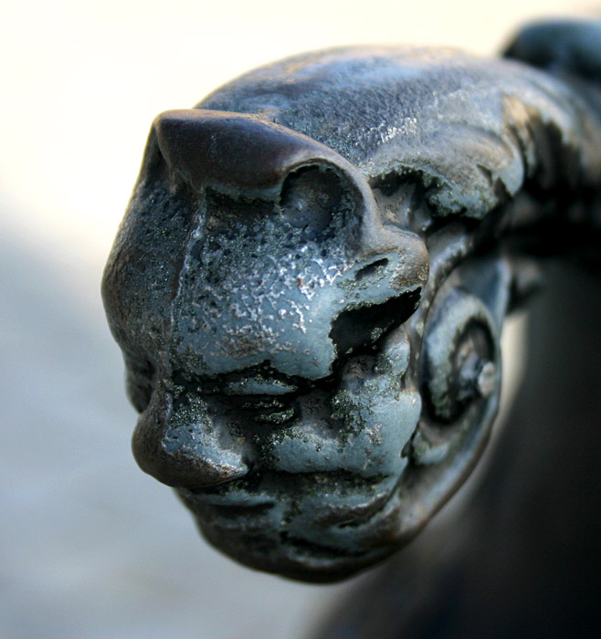 ...face...