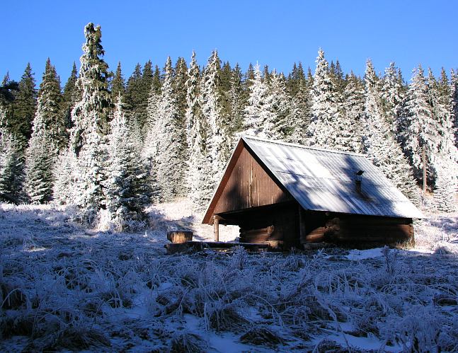 Kolibka