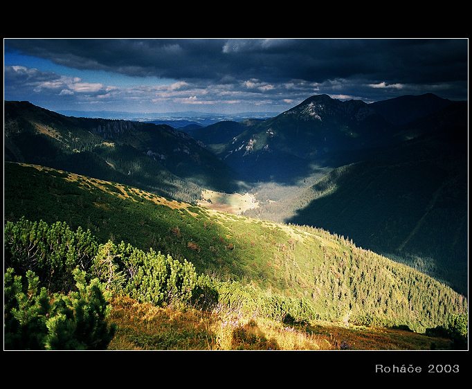 v poslednej chvili...