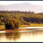 Lipno