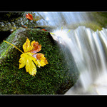 .: Podzimní doteky :.