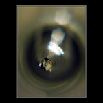 ...par pikolitrov...