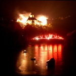 Veveří při hře světel