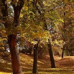 Park v Krásném Dvoře