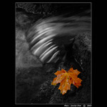 <b> ... P O D Z I M ... </B>