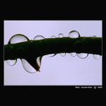 <b> - Jen tak - </b>