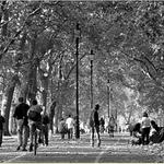 Pohodicka v Hyde parku