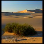 Piskove duny v Death Valley