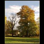 <b> ..:: Classic Autumn Photo ::.. </b>