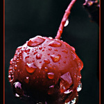 Čertovské jablíčko