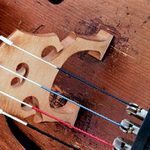 Cello