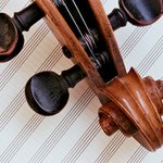 Cello II - krk