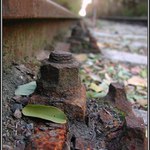 Ještě pořád držím...