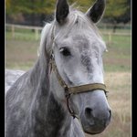 On či ona - kdoví?