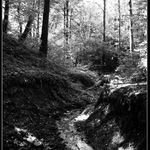 za směrem?->proti proudu