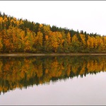 Rano u Sawmill lake.