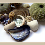 Vzpomínka na moře II