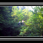 bridge over trouble water