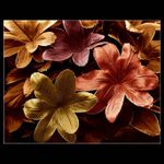 <b>...do nitra podzimu....</b>