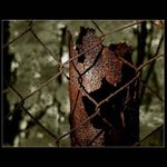 <b>MĚ NEVYSTRAŠÍŠ !</b>