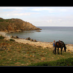 Sardská jezdecká idylka