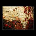 <b> * PODZIMNÍ * <b/>